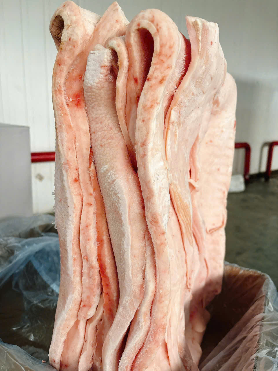 Mua mỡ phần nhập khẩu giá tốt nhất tại miền Bắc